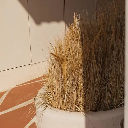 فندق Isabella's يافرانتْسْ